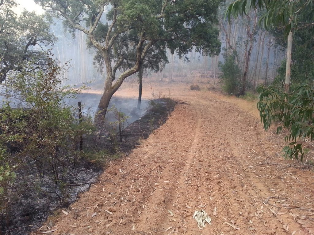 Paragominas: Prefeitura Municipal inicia emissão de autorização de queimadas controladas