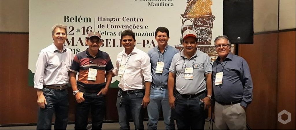 Paragominas busca inovação para a produção de mandioca