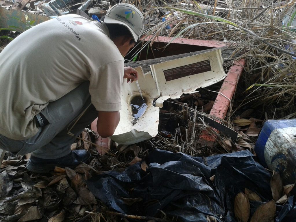 Paragominas contra o Aedes