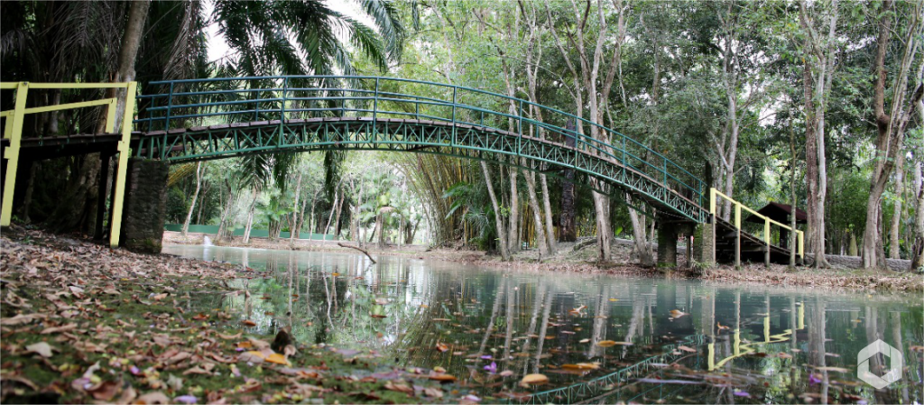 Parque Ambiental Ademar Monteiro reabre as portas para receber a população