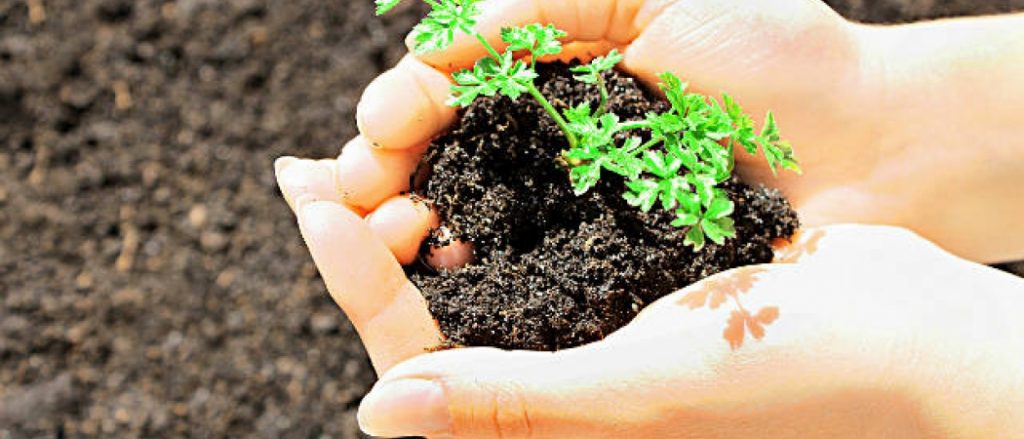 Paragominas ganha a primeira Central de Reciclagem de Resíduos Orgânicos do país