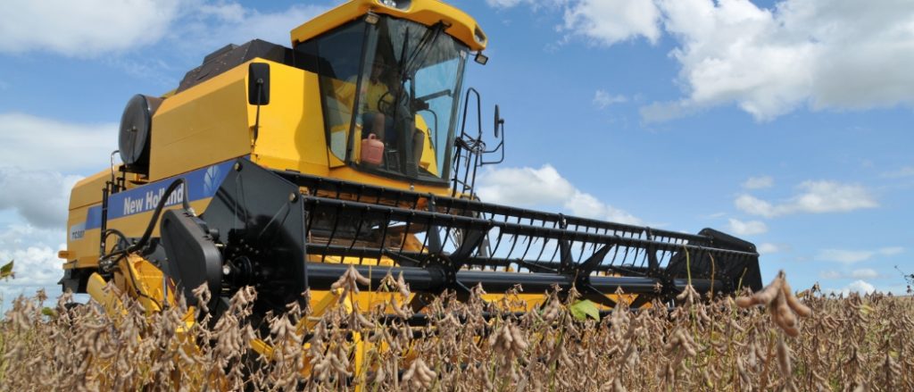 A safra 2016 promete ser a melhor “dos últimos tempos”, afirma agricultor